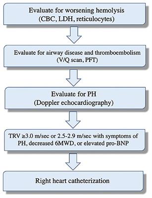Epidemiology, Pathogenesis, and Clinical Approach in Group 5 Pulmonary Hypertension
